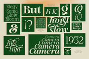 Stella Aesta - 10 Butterfly Font, a Serif Font by Dharmas Foundry (Thumbnail 7 of 17)