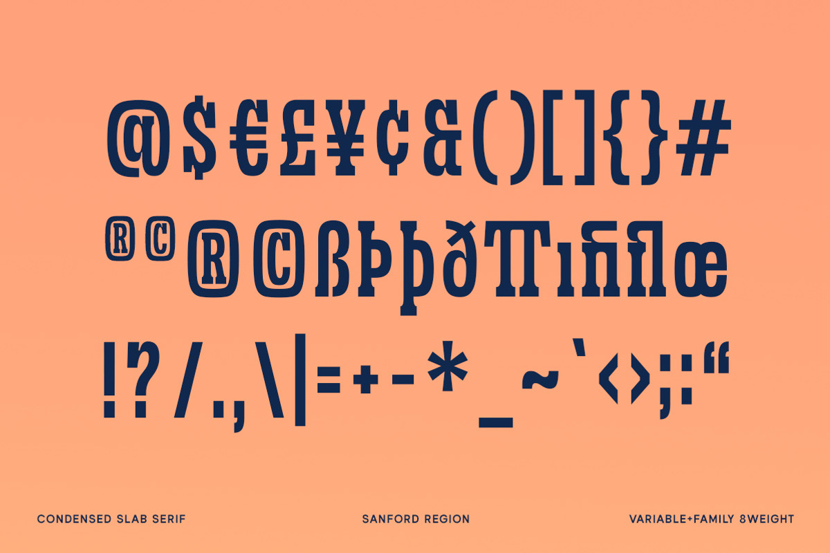 Sanford Region - Variable Font, a Slab Serif Font by Letterhend Studio (Photo 11 of 11)