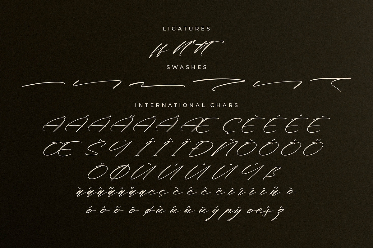 Midnight Realtime Modern Calligraphy, a Script Font by Letterena Studios Script (Photo 14 of 15)