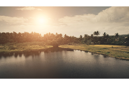 Sun tropic forest at lake shore, a Nature Photo by Goinyk