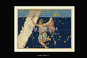 Johann Bayer Uranometria, an Education Illustration by Digital Museum (Thumbnail 3 of 8)