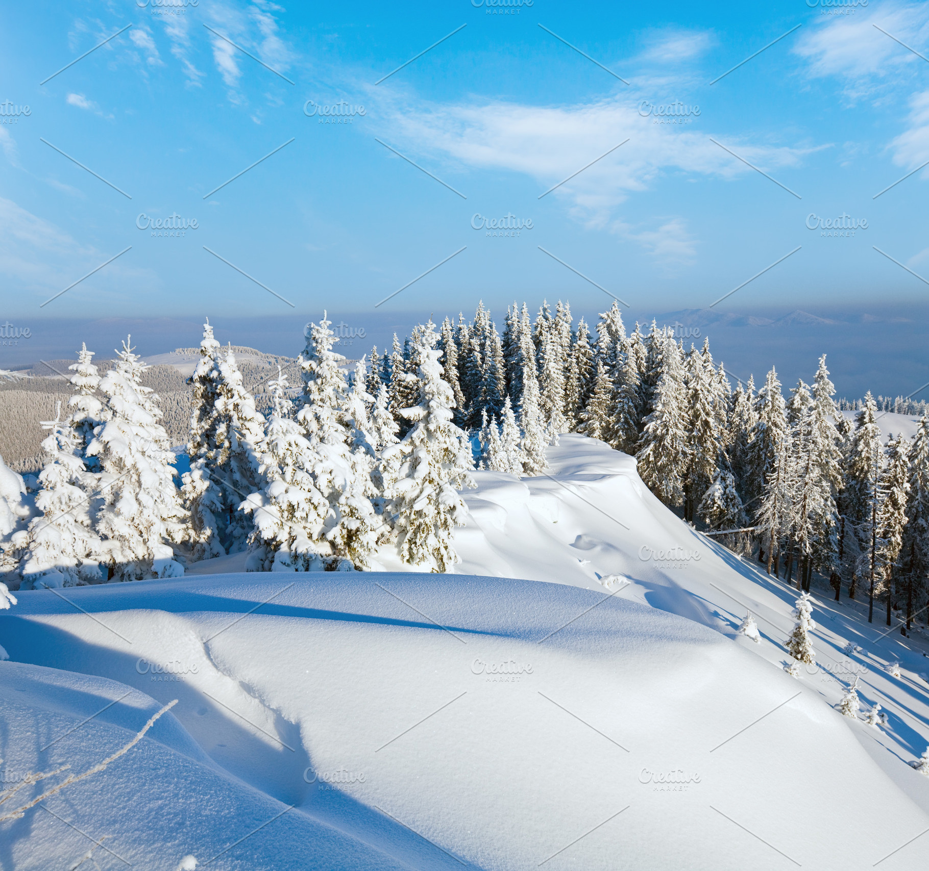 Snowy landscape, a Nature Photo by YuriyB