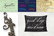 THE COLLECTION BUNDLE, a Script Font by danti (Thumbnail 28 of 31)