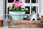 3 pastel blue presets, a Plug-in Add-On by studio25 (Thumbnail 6 of 7)