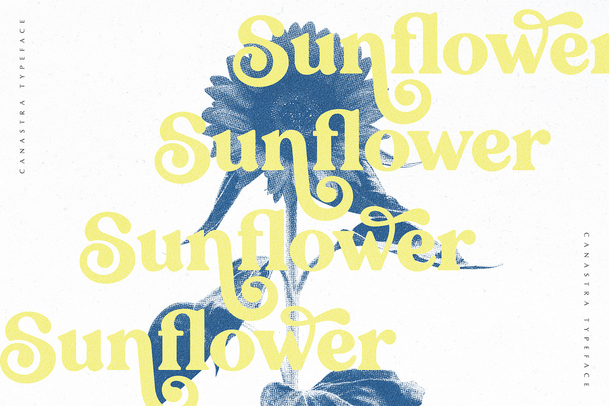 Canastra - Retro Serif, a Serif Font by Ivan Rosenberg (Photo 2 of 23)