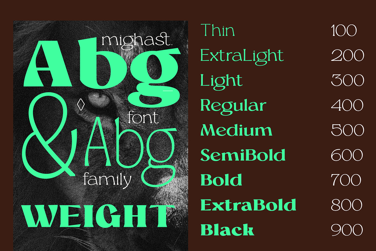 Mighast | 45 Fonts, a Serif Font by MasaType (Photo 2 of 13)