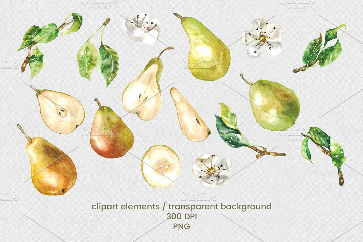 Pear Wine - Fruit Watercolor Clipart, a Decorative Illustration by foxsong (Photo 4 of 16)
