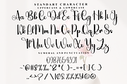 Highlight Wedding, a Handwritten Font by FreshTypeINK (Thumbnail 5 of 8)