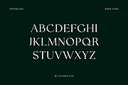 Ariane Coachella Elegant Serif Font, a Serif Font by UICreative (Thumbnail 9 of 13)