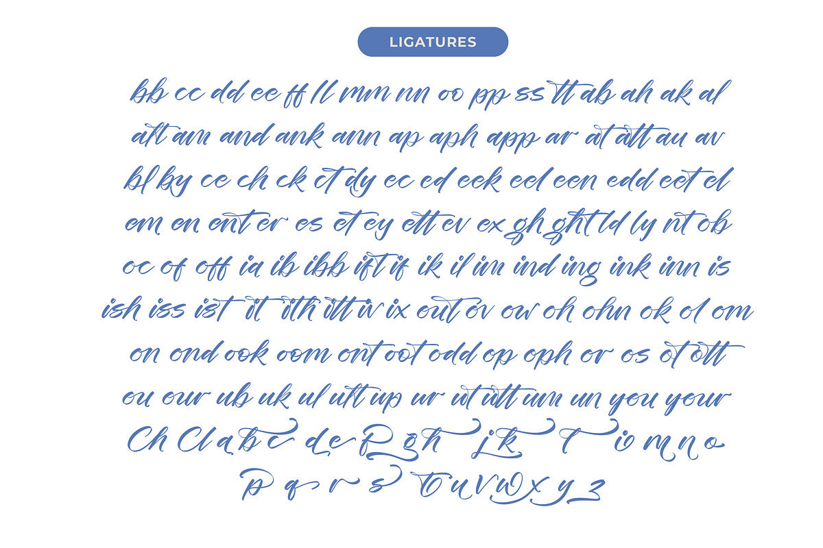 Festival Routes Modern Script Font, a Script Font by stylishtype.co (Photo 14 of 15)