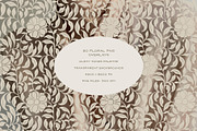 Vintage Floral Frames & Overlays, an Object Graphic by alonahaidash (Thumbnail 15 of 19)