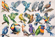 Watercolor Exotic Bids - 32 PNGs, an Animal Illustration by Leakedink (Thumbnail 2 of 3)