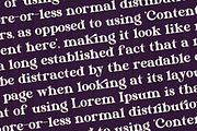 Eriskaw Serif Fonts, a Serif Font by mahstudios (Thumbnail 8 of 10)