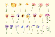Watercolor flowers, a Pattern Graphic by NKTN (Thumbnail 12 of 15)