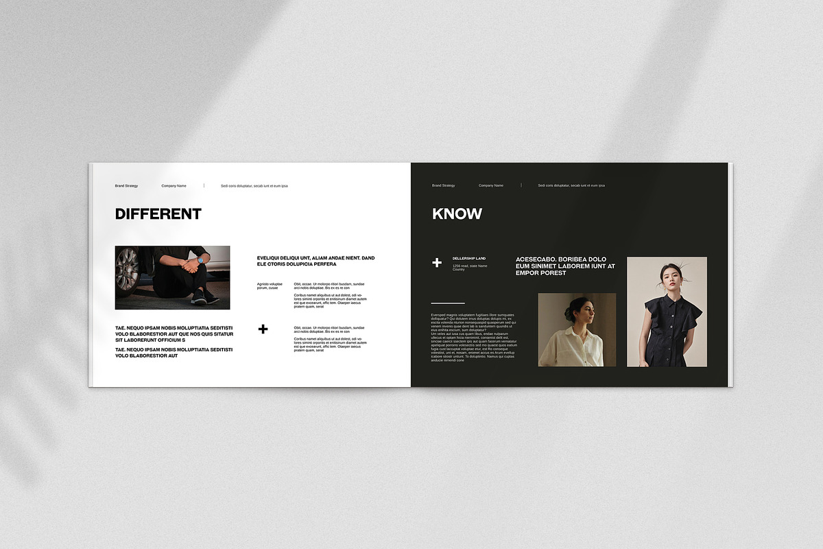 Brand Strategy Template, a Brochure Template by slidestock55 (Photo 2 of 8)