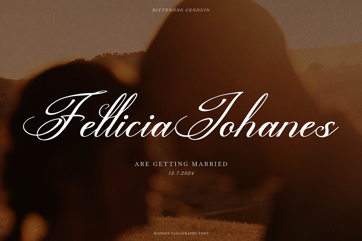 Bittenong Cenduin Modern Calligraphy, a Script Font by Denustudios (Photo 3 of 13)
