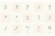 Botanical Hand Drawn Designs, Logos, a Seasonal Illustration by Designwork (Thumbnail 21 of 22)