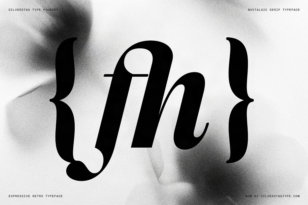 La Mystere - Editorial Serif Font, a Serif Font by SilverStag Type Foundry (Photo 18 of 30)