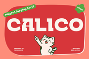 Calico - Bold Playful Serif Font, a Serif Font by Font Liner (Thumbnail 1 of 10)