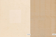 The Antiquarian Paper Archive, a Texture Graphic by Dina Mae (Thumbnail 10 of 19)