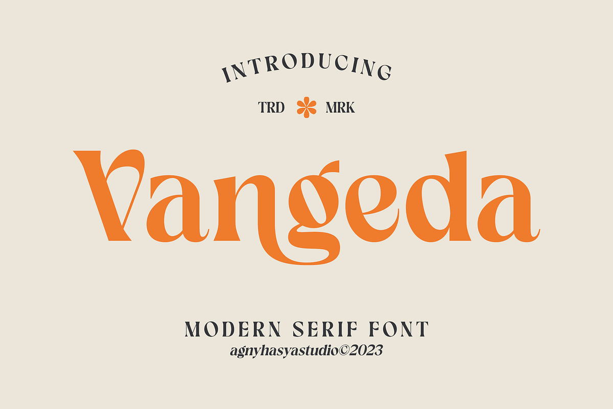 Vangeda - Modern Serif Font, a Font by agnyhasyastudio (Photo 1 of 9)