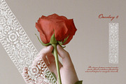 Vintage Lace Pieces Overlays, a Texture Graphic by Kaleriia (Thumbnail 9 of 18)