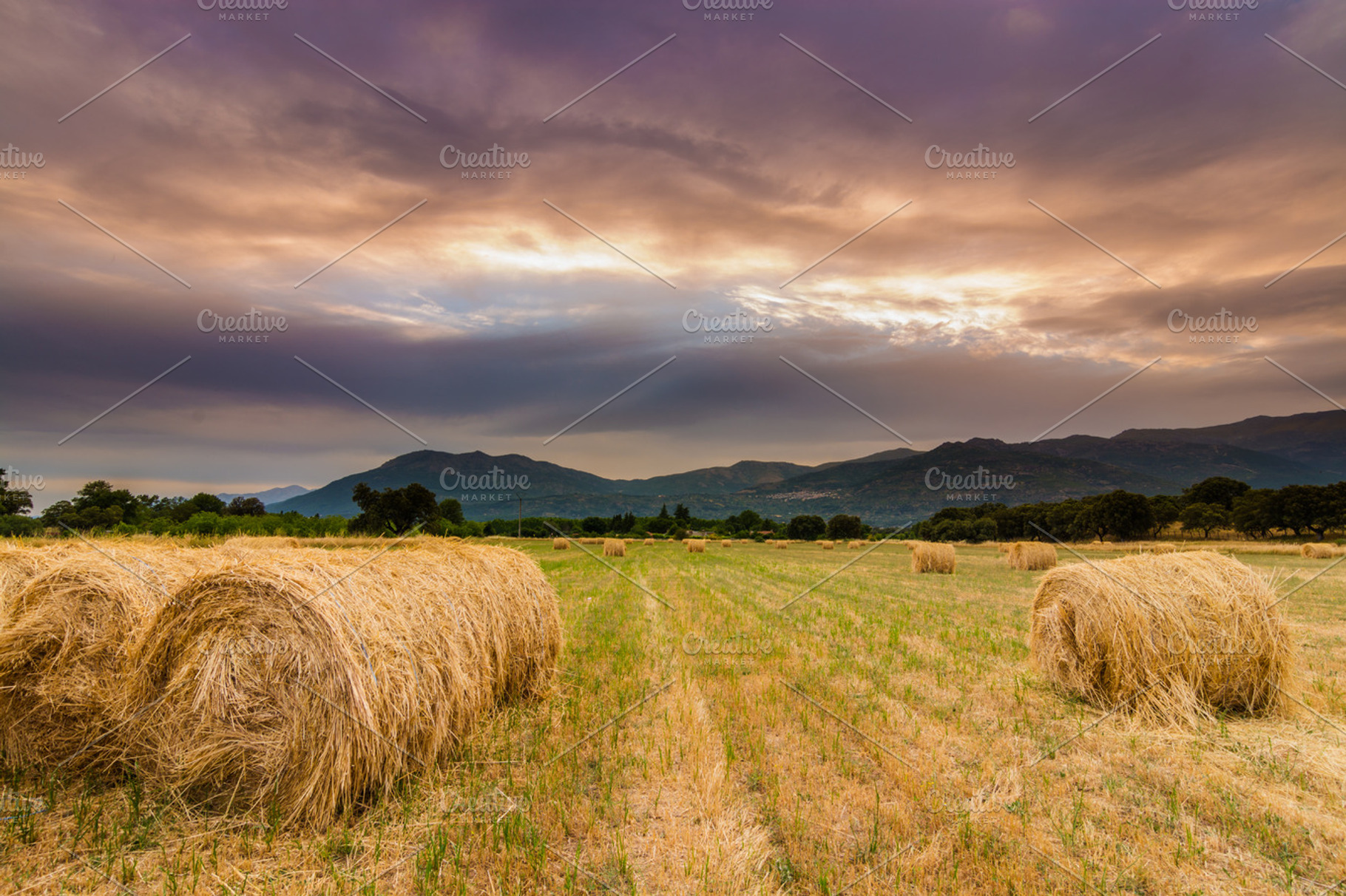 Straw Sunset Ii Stock Photo Containing Straw And Sunset