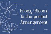 Delmora Elegant Display Serif Font, a Serif Font by Vadovastd (Thumbnail 5 of 8)