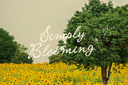 Housemail; Romantic Script and Sans, a Script Font by Eko Bimantara (Thumbnail 9 of 16)