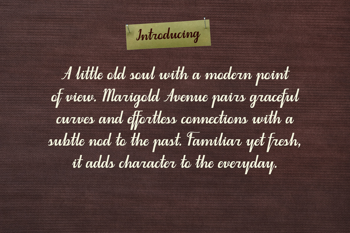 MarigoldAvenue Modern Vintage Script, a Script Font by Struvictory.art (Photo 3 of 9)