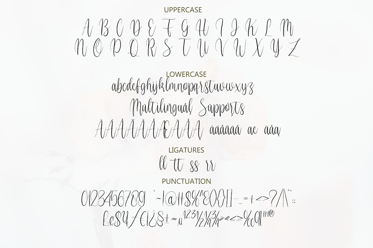 Vignette Cursive Font, a Script Font by Jackgridden (Photo 13 of 16)