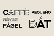 Altero – Font Family, a Font by Stefano Giliberti (Thumbnail 9 of 10)