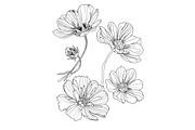 Flowers outlined, an Object Graphic by VictoriaKStudio (Thumbnail 3 of 4)