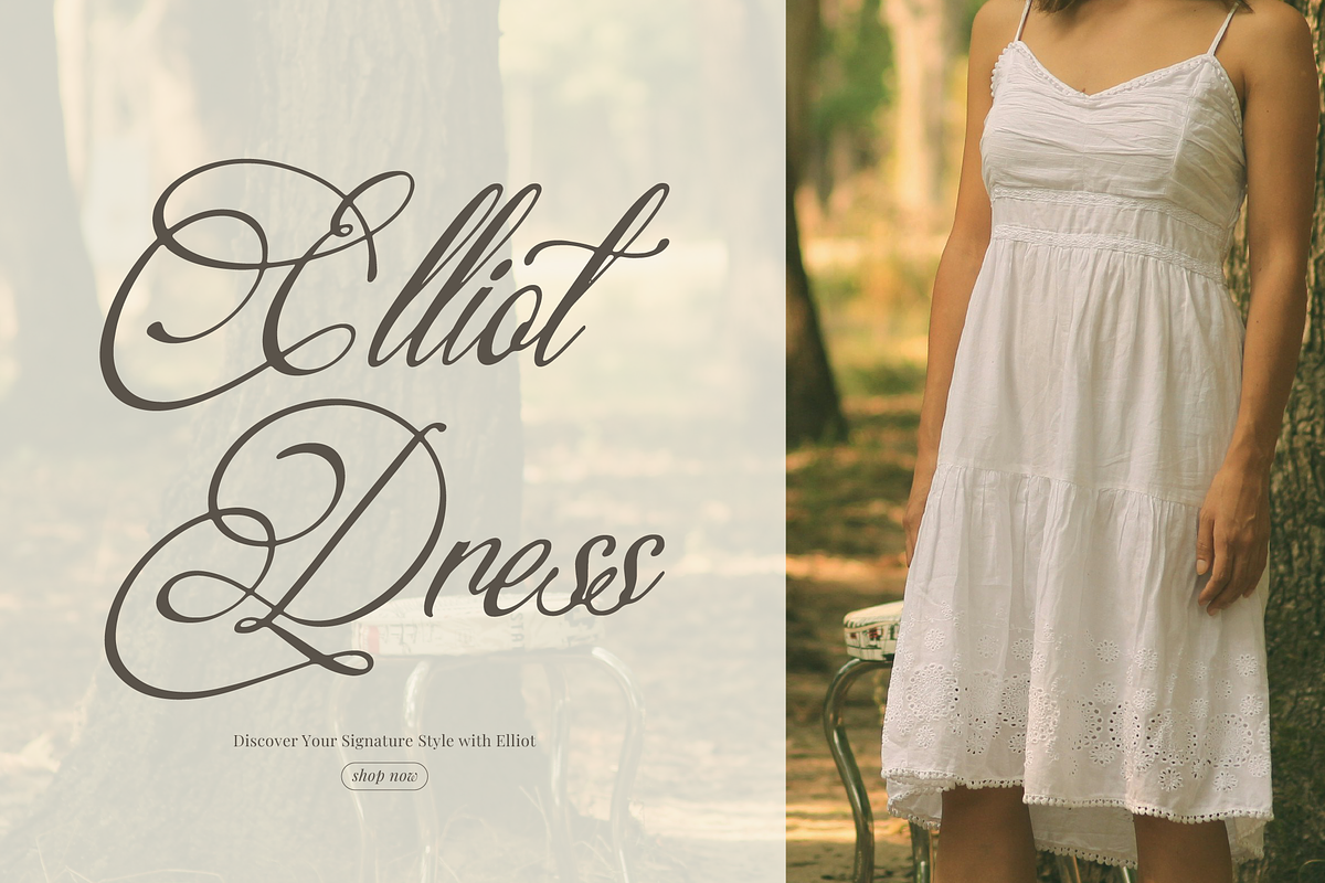 Yertlealus | Modern Beauty Script, a Script Font by Denustudios (Photo 2 of 15)