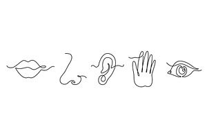 One line five human senses. Mouth to, a Healthcare Illustration by winwin.art