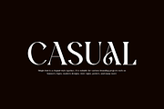 Atfagis - Modern Serif Font, a Serif Font by QR Design Studio (Thumbnail 4 of 14)