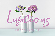 Serial Catch Font, a Script Font by Creativeqube Design (Thumbnail 4 of 22)