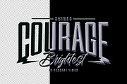 Chrome Text & Logo Effect, a Brushes & More by Design Squad (Thumbnail 3 of 3)