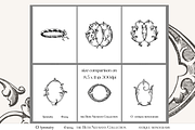 Antique Vintage Monogram Initial O, an Object Graphic by Antique Monograms (Thumbnail 3 of 4)