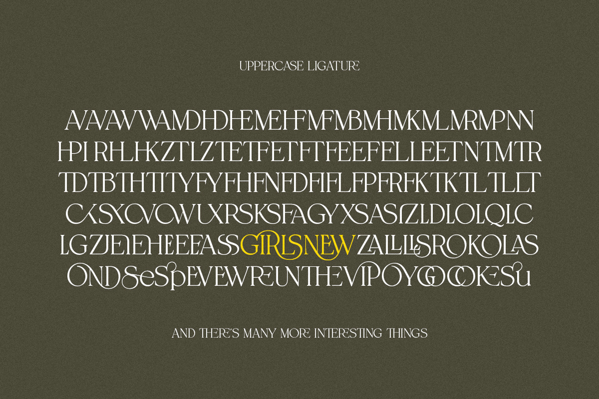Spadore | 6 Font Files, a Serif Font by Pista Mova (Photo 15 of 18)