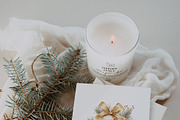 Winter & Christmas Watercolor, a Decorative Illustration by Lana Elanor (Thumbnail 10 of 11)