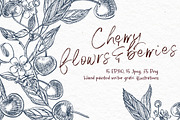 Cherry Graphic & Watercolor clipart, a Food Illustration by Ann Astro (Thumbnail 3 of 5)