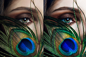 10xLightroom Presets Peacock Presets