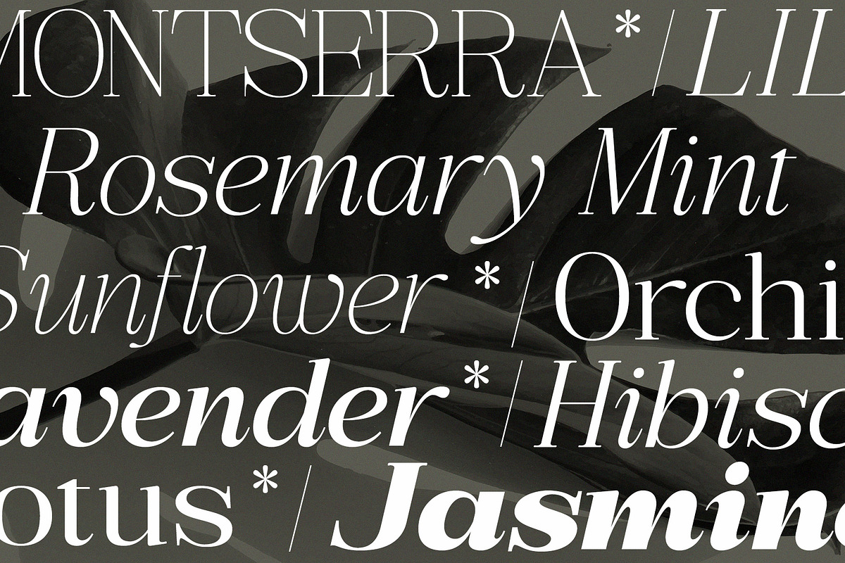 Bigsmile Serif Family, a Serif Font by Violet Natural (Photo 13 of 13)