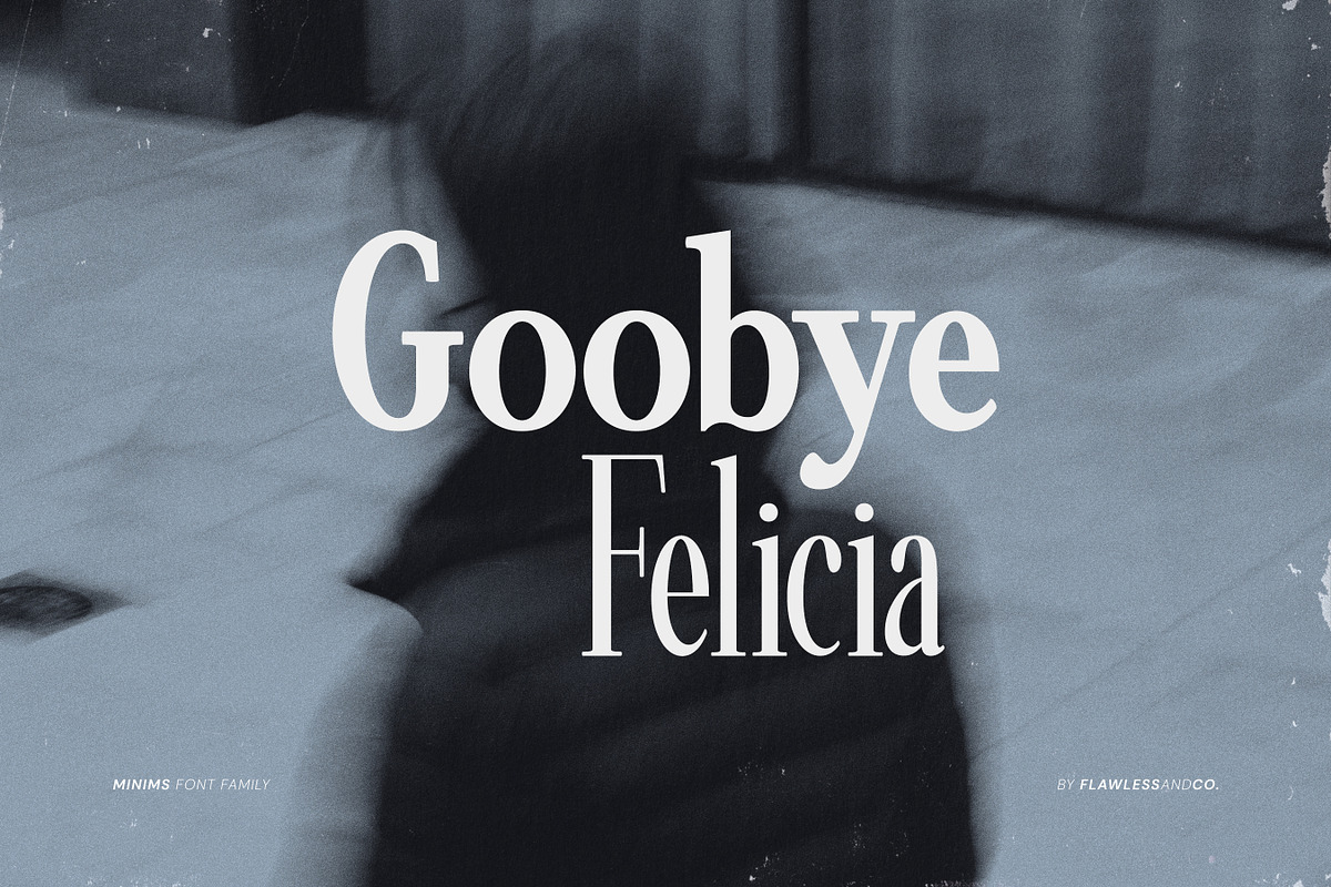 Minims - Serif Retro Family Series, a Serif Font by Flawless And Co (Photo 6 of 11)