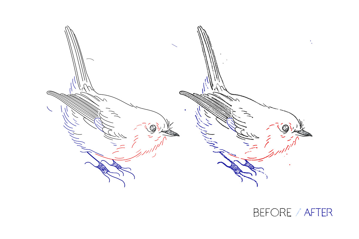 Infinito Ballpoint Pen Brushes, a Brush Add-On by Side Project (Photo 4 of 7)