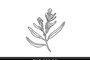 Australian Native Flowers Clipart