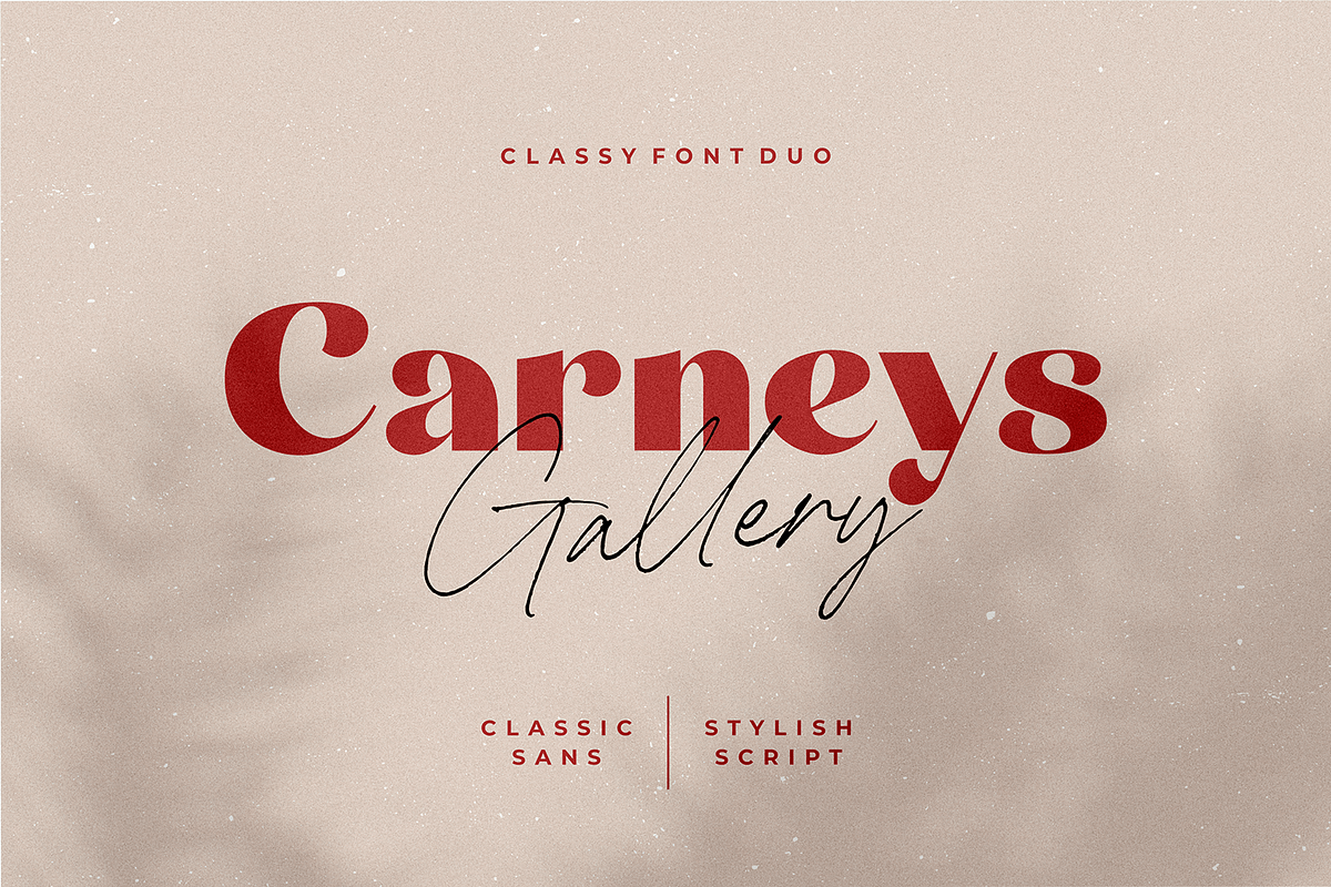 Carneys Gallery Font Duo, a Sans Serif Font by Letteralle Studios (Photo 1 of 16)
