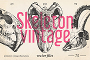 Vintage Prehistoric Skeletons, an Illustration by Retro Machine (Thumbnail 1 of 5)
