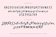 Strawberry Garden Sans, a Handwritten Font by Beck McCormick (Thumbnail 10 of 10)